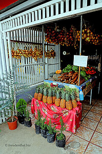 Obstladen in Orosí