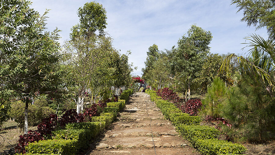 beim Red Mountain Estate Vineyards & Winery in Myanmar