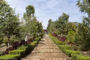 beim Red Mountain Estate Vineyards & Winery in Myanmar