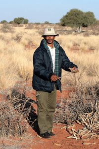 Vortrag auf Sprache der San beim Game Drive in die Kalahari