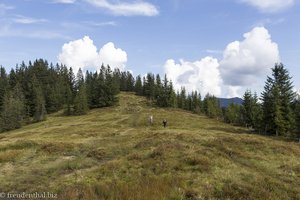 Blick zum Gelbhansekopf