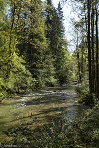 Die Obere Argen beim Riedholzer Eistobel