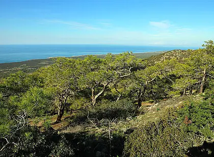 Runde auf dem Smiegis Nature Trail