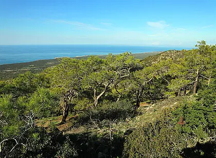 Runde auf dem Smiegis Nature Trail