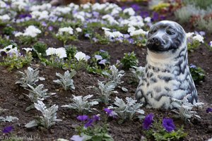 Beet zum Fest der Blumen in Tallinn