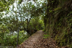 Pfad ins Tal Ribeira do Inferno