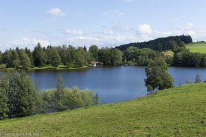 Aussicht auf den Schwaltenweiher