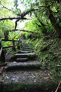 Treppenweg zum El Mirador »Quebrada Salto«