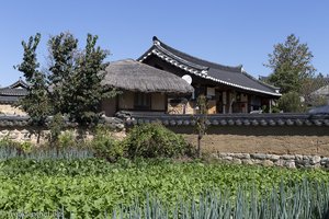 Hinter Mauern: Häuser im Hahoe Folk Village