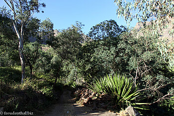 Berglandschaft auf Santiago beim Pico da Antonia
