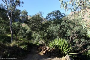 Berglandschaft auf Santiago beim Pico da Antonia