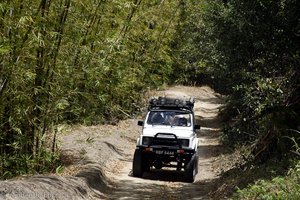 Jeepsafari auf Tobago