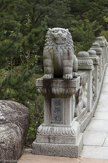 Brückenlöwe im Tal Cheonbuldong