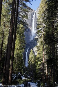 Kaskaden des Yosemite Falls