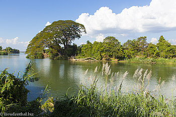Ein schöner Blick auf den Mekong