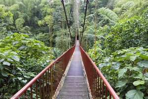Hängebrücke im Quindío Botanical Garden von Kolumbien.