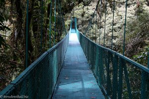 die dritte Hängebrücke im Selvatura Park ist geschafft