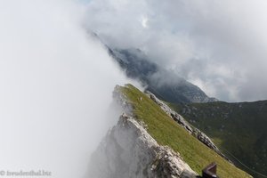 Nebelwand am Tomlishorn