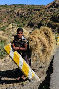 äthiopisches Mädchen bringt die Teff-Ernte nach Hause