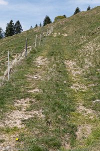 Abstieg vom Spicher über Neuwald zum Ofenloch