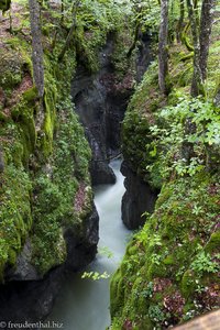 Das tief ausgewaschene Flusstal der Mostnica