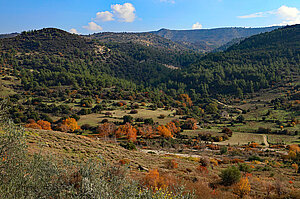 Aussicht Diarizos Tal