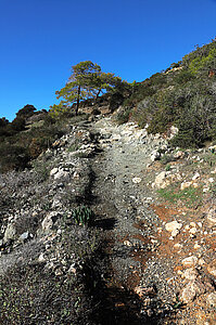 Felsiger Weg des Trails