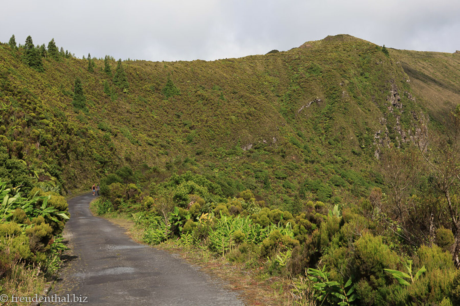 Straße nach Lombadas auf der Azoreninsel São Miguel