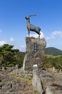 Hirsch-Skulptur auf dem Kraterrand des Sangumburi