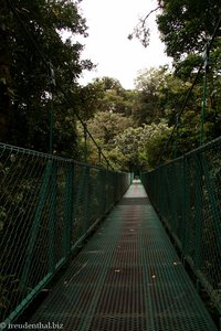 Hängebrücke Nr. 7 im Selvatura Park von Costa Rica
