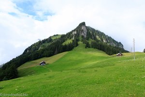 Aussicht von der Alp Weid zum Niederbauen