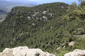 Blick über eine Schlucht nördlich Valldemossa