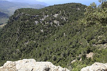 Blick über eine Schlucht nördlich Valldemossa