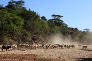 ein Wadi wird auch nochmal gekreuzt