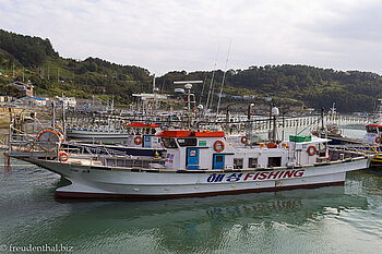 Fangflotte der Tintenfischer