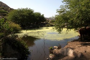 Wasserstelle am Monte Graciosa