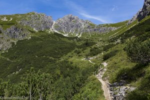 Blick zur Oberstdorfer Hammerspitze