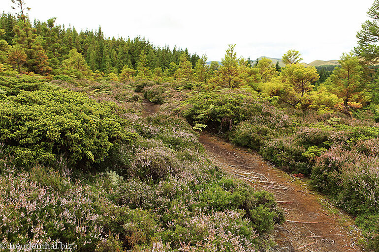 Wanderweg zu den Mistérios Negros Wanderweg zu den Mistérios Negros
