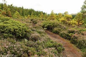 Wanderweg zu den Mistérios Negros