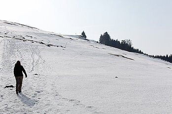 Anhöhe zwischen Spitzmoos und Breitnau
