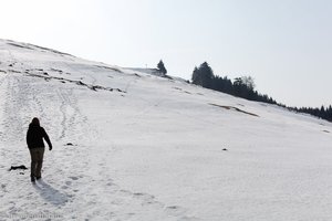 Anhöhe zwischen Spitzmoos und Breitnau