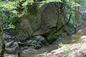 Blick hinab in die Schlucht des Neckers