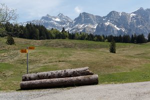 Aussicht von Alp Horn zum Alpsteingebirge
