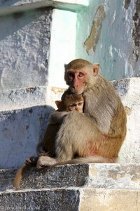 Affenmitter mit Kind beim Popa Taung Kalat