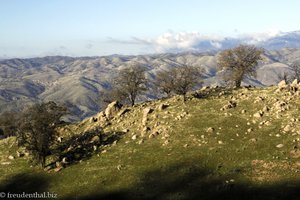 San Joaquin Tal in Dentral Valley