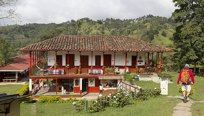 Kaffeeplantage der Finca El Ocaso