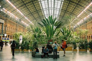 Bahnhof Atocha - So schön!