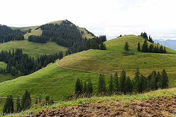 Berglandschaft am Rigi