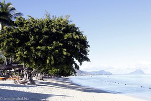 Strand bei Wolmar