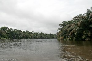 endlich im Tortuguero-Kanal